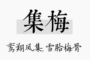 集梅名字的寓意及含义