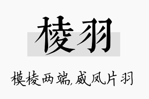 棱羽名字的寓意及含义