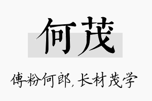 何茂名字的寓意及含义