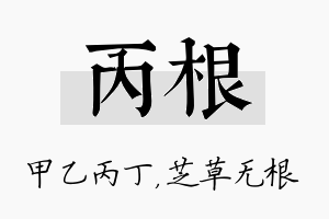 丙根名字的寓意及含义