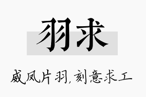 羽求名字的寓意及含义