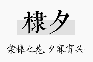 棣夕名字的寓意及含义