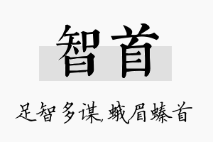 智首名字的寓意及含义