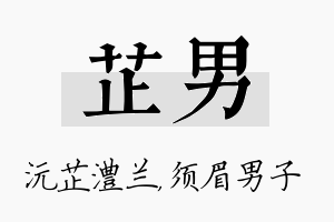 芷男名字的寓意及含义