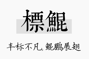 标鲲名字的寓意及含义