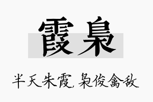 霞枭名字的寓意及含义