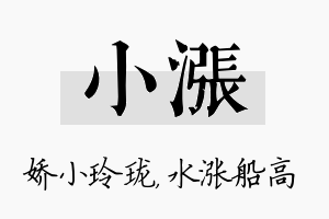 小涨名字的寓意及含义