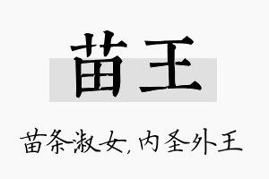 苗王名字的寓意及含义