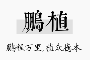 鹏植名字的寓意及含义