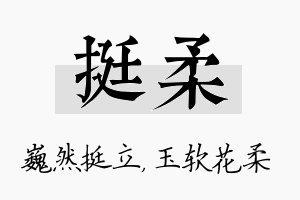 挺柔名字的寓意及含义