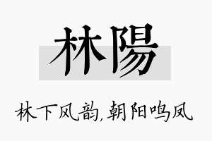 林阳名字的寓意及含义