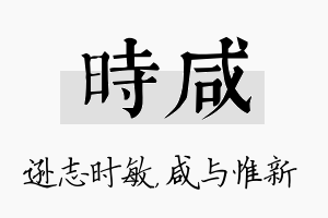 时咸名字的寓意及含义