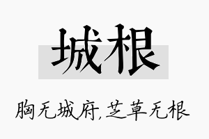 城根名字的寓意及含义