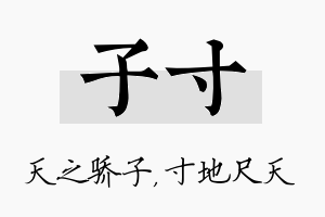 子寸名字的寓意及含义