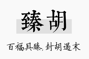 臻胡名字的寓意及含义