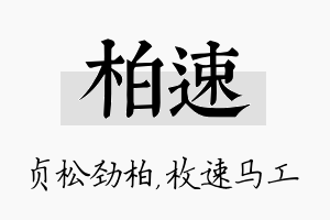 柏速名字的寓意及含义