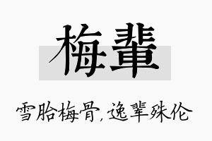 梅辈名字的寓意及含义