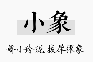 小象名字的寓意及含义