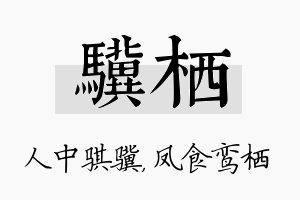 骥栖名字的寓意及含义