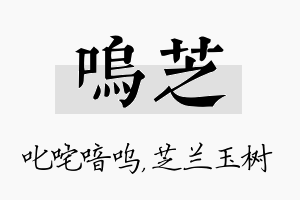 呜芝名字的寓意及含义