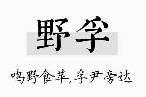 野孚名字的寓意及含义