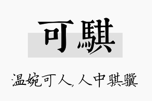 可骐名字的寓意及含义