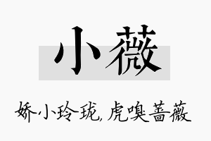 小薇名字的寓意及含义