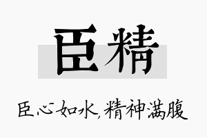 臣精名字的寓意及含义