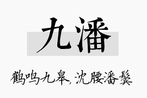 九潘名字的寓意及含义