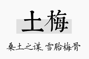 土梅名字的寓意及含义