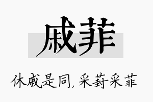 戚菲名字的寓意及含义