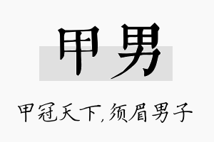 甲男名字的寓意及含义