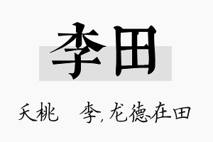 李田名字的寓意及含义