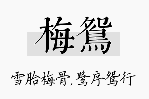 梅鸳名字的寓意及含义