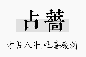 占蔷名字的寓意及含义