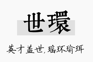 世环名字的寓意及含义