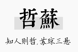 哲苏名字的寓意及含义