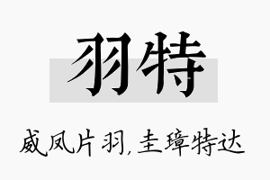 羽特名字的寓意及含义