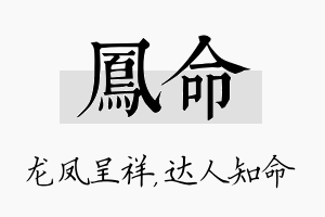 凤命名字的寓意及含义