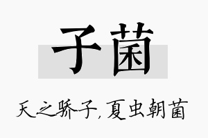 子菌名字的寓意及含义