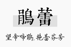 鹃蕾名字的寓意及含义