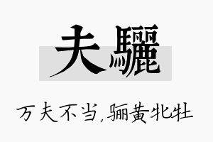 夫骊名字的寓意及含义