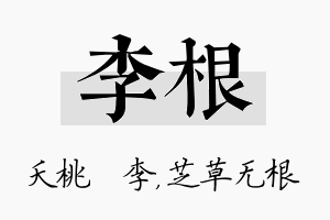 李根名字的寓意及含义