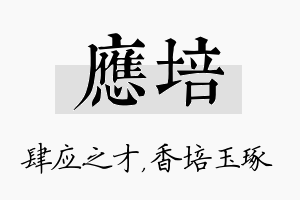 应培名字的寓意及含义