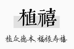 植禧名字的寓意及含义