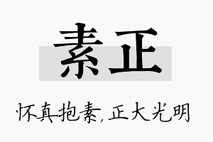 素正名字的寓意及含义