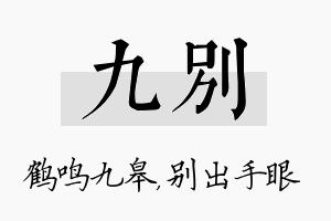 九别名字的寓意及含义