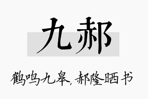 九郝名字的寓意及含义