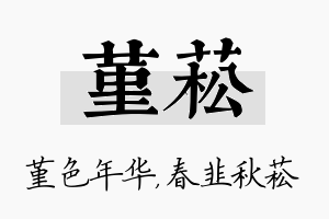 堇菘名字的寓意及含义