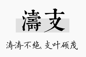 涛支名字的寓意及含义